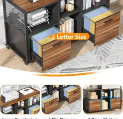2 Drawer File Cabinet, Wood Mobile Lateral Filing Cabinet