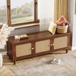 55" Storage Bench, 2-Tier Shoe Bench with Lift Top Storage