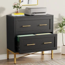 2-Drawer File Cabinet, Lateral Storage Cabinet Printer Stand