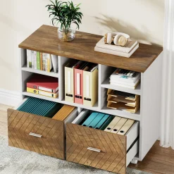 2-Drawer File Cabinet, Mobile Lateral Filing Cabinet with Shelves