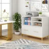 Lateral File Cabinet Printer Stand with Drawer & Open Storage Spaces