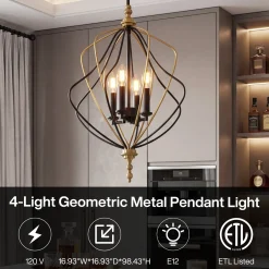 4-Light Chandelier, Modern Metal Cage Pendant Lighting for Living Room (Bulb Not Included)