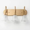 3-Light Light Fixtures, Modern Wall Lights Bathroom Vanity with Clear Glass Shades
