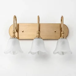 3-Light Light Fixtures, Modern Wall Lights Bathroom Vanity with Clear Glass Shades
