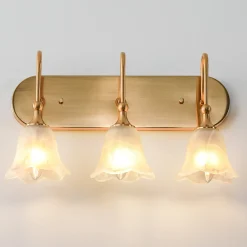3-Light Light Fixtures, Modern Wall Lights Bathroom Vanity with Clear Glass Shades
