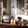1-Light Pendant Lighting, Modern Island Chandelier Ceiling Light Fixture with Unique Design