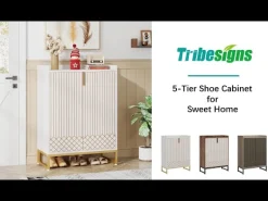Modern Shoe Cabinet with Doors, 5-Tier Modern Shoe Rack Organizer