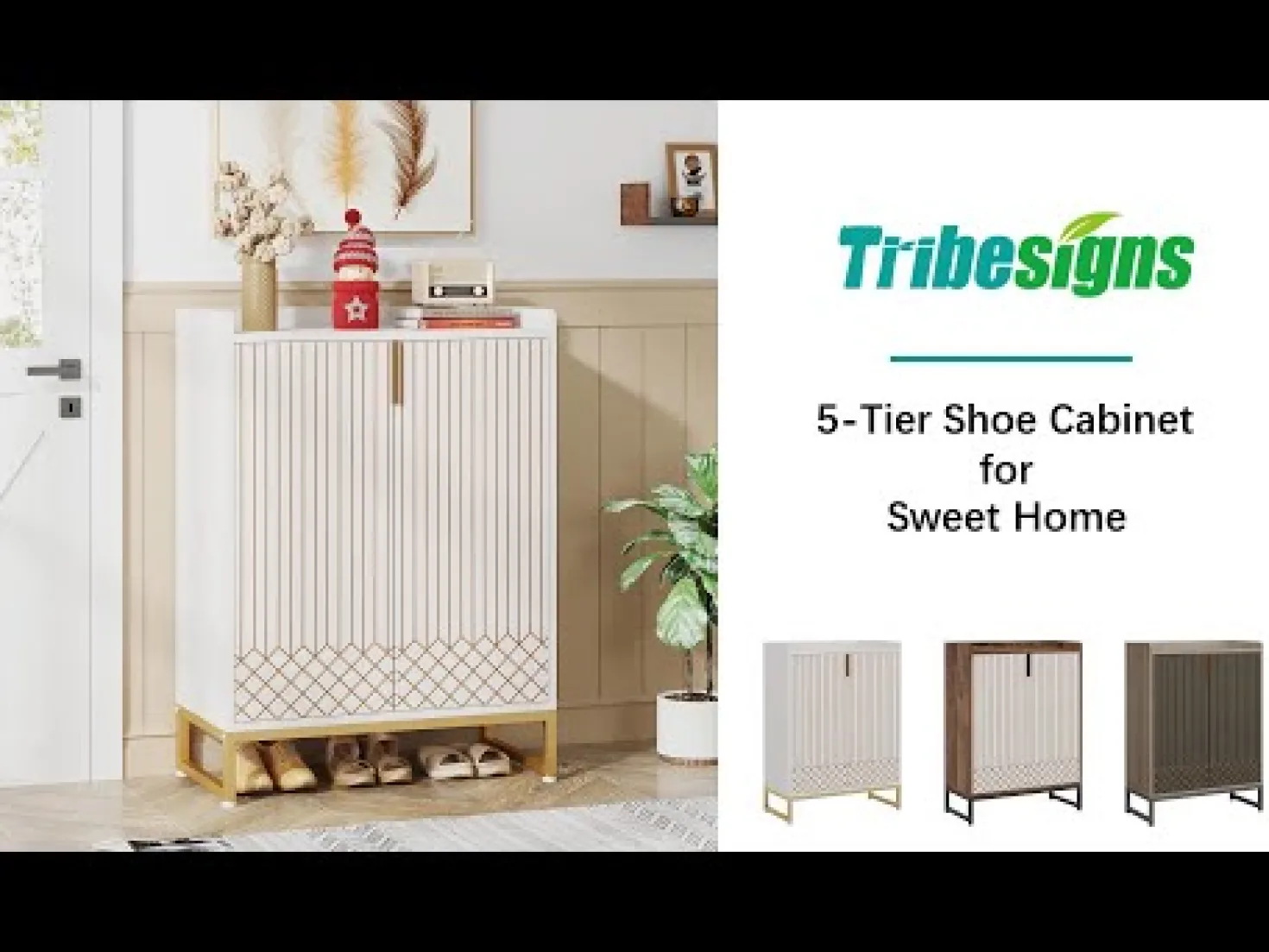 Modern Shoe Cabinet with Doors, 5-Tier Modern Shoe Rack Organizer