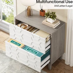Wood File Cabinet, 2-Drawer Storage Cabinet for A4/Letter/Legal Size