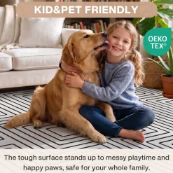 5x7/8x10 Machine Washable Area Rug, Modern Geometric Non-Slip Low Pile Indoor Carpet for Living Room, Oeko-Tex Certified